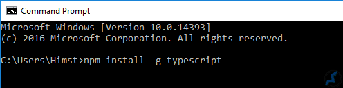 install-typescript