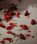 Petals Of Red Roses On White Bed Linen